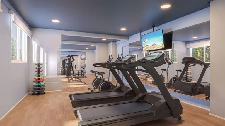 Fitness - Vibra João Dias