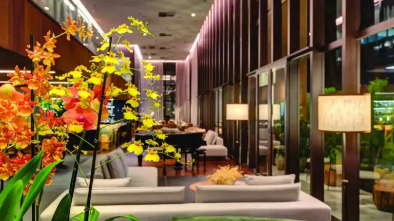 Apartamento 1 quartos Paraíso — Hall do Qoya Hotel São Paulo